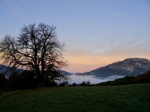 Paysage Verdon