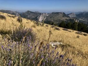 Gite Gorges du Verdon