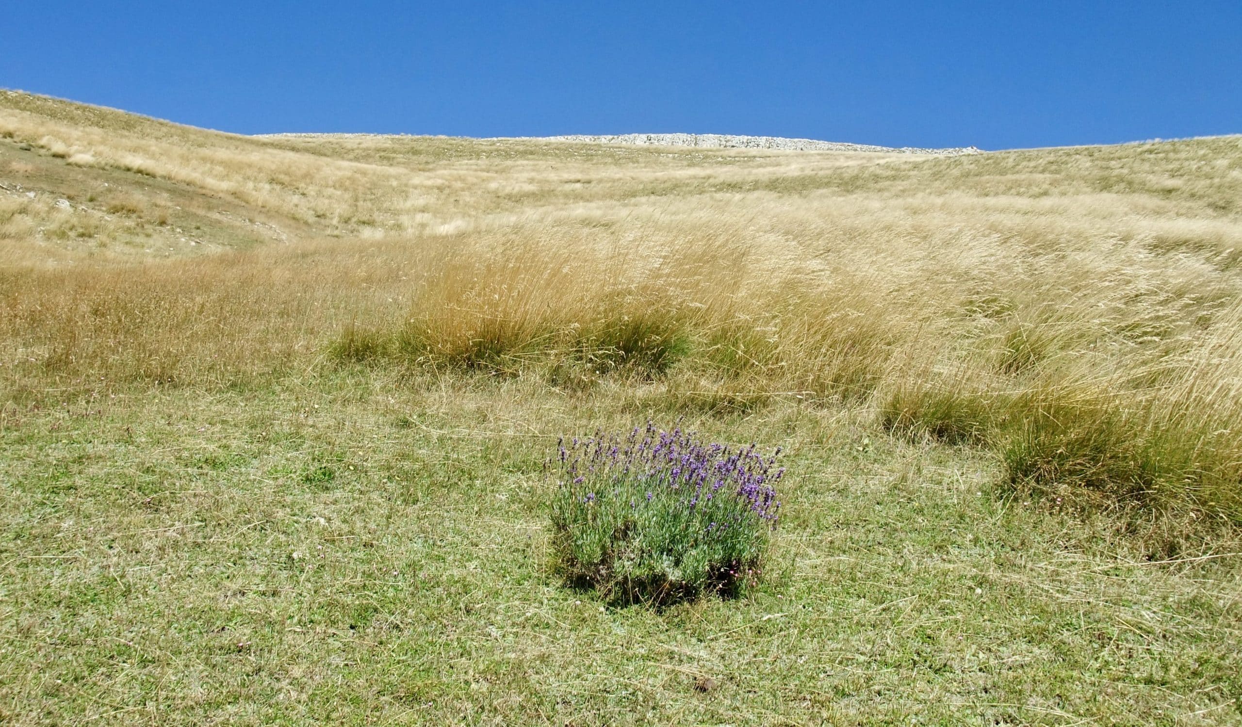 Nature Verdon