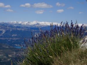 Gite Gorges du Verdon