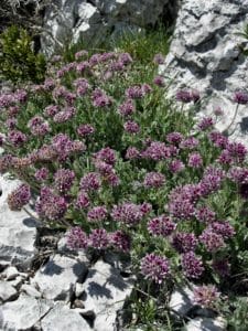 Gite Gorges du Verdon