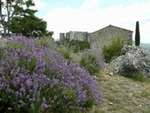 Gite Gorges du Verdon